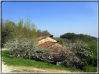 foto Colle San Benedetto